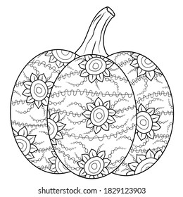Outlined autumn pumpkin coloring book page in botanical style. Doodle illustration for fun drawing leisure time, being at home. Vector ornated gourd on white isolated background. EPS10