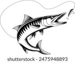 Outlined Barracuda Fish Catching The Fishing Lure Graphic Design. Vector Hand Drawn Illustration Isolated On Transparent Background