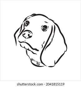 Scharlachroter Adler-Hundekopf. Vektorgrafik-Beagle-Hund ist eine einfache Vektorgrafik