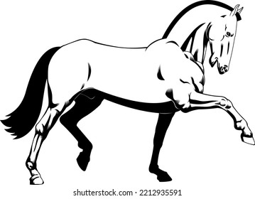 Outlined Beautiful Cartoon Horse Silhouette Running. Vector Hand Drawn Illustration Isolated On Transparent Background