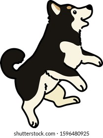 Outlined black Shiba Inu jumping