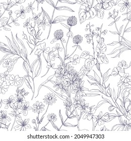 Outlined botanical pattern with wild flowers. Seamless repeating floral background with herbs print. Black and white vintage texture with herbal field plants, wildflowers. Drawn vector illustration