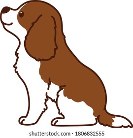 Outlined Brown Cavalier King Charles Spaniel sitting in side view