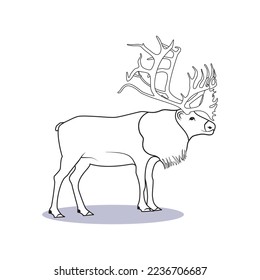 Outlined Caribou reindeer , Vector illustration, Winter animal_isolated on white