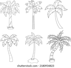 Outlined Cartoon Different Tropical Palm Tree. Vector Hand Drawn Collection Set Isolated On White Background