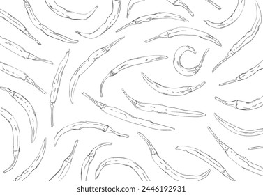 Outlined cayenne pepper seamless pattern. Isolated on white background. Vector illustration