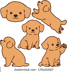 Outlined Chihuahua Poodle Mix puppy illustrations set