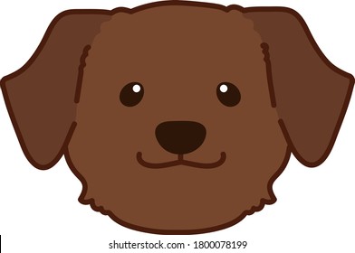 Outlined chocolate brown Labrador front face