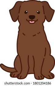 Outlined chocolate Labrador sitting front view