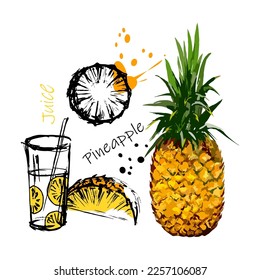 Outlined and color doodle pineapple vector illustration. Pineapple sketch set. Food and drink symbol, hand drawn juicy fruit. Hand drawing style. Retro flat sign 