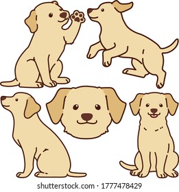 Outlined cream Labrador illustrations set