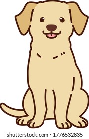 Outlined cream Labrador sitting front view