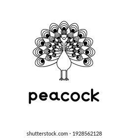 Outlined cute cartoon peacock. Vector illustration.