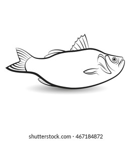 outlined fish with fins-vector drawing