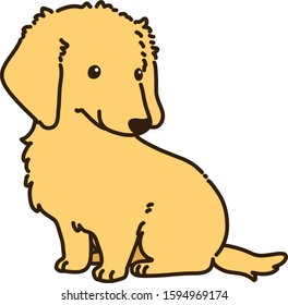 Outlined golden Miniature Dachshund sitting