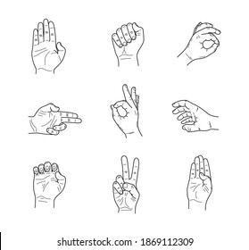 Outlined Hands Various Positions Vector Illustration Stock Vector ...