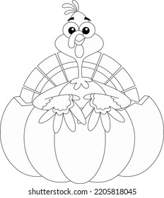 Outlined Happy Turkey Baby Cartoon Character In Pumpkin. Vector Hand Drawn Illustration Isolated On Transparent Background