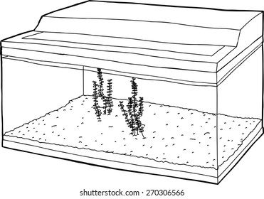 Outlined illustration of aquatic plants inside aquarium