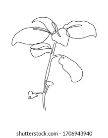 Outlined Illustration Of A Basil Sprig