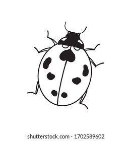 Outlined illustration hand drawing of ladybug isolated on white background for children learning and colouring. Vector.