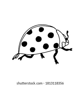 Outlined illustration hand drawing of ladybug isolated on white background. The best for children learning and colouring. Vector illustration.