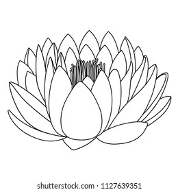 Outlined lotus pattern flower isolated on white background (vector illustration)