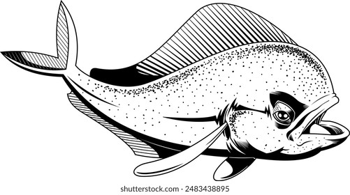 Outlined Mahi Mahi Or Dolphin Fish Swims Underwater Graphic Design. Vector Hand Drawn Illustration Isolated On Transparent Background