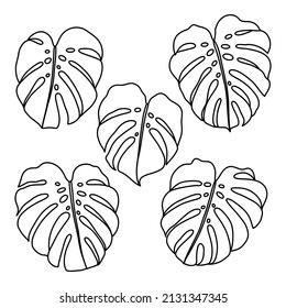 Outlined monstera leaves vector clip art, line art, abstract botanical design elements, isolated on white background