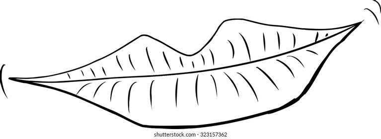 Outlined pair of grinning human lips over white background