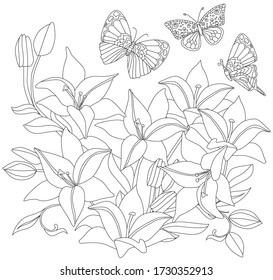 outlined picture of blooming garden with lilies and butterflies for your coloring book.  