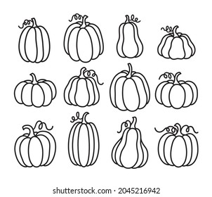 Outlined pumpkin, pumpkin doodles, pumpkin line art vector illustration.
