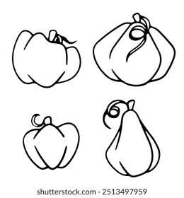 Perfil de calabaza delineado, garabato de calabaza sobre fondo blanco, arte de línea de calabaza, comida de calabaza. Ilustración vectorial.