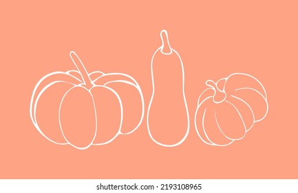 Outlined pumpkin set.  Pumpkin doodles, pumpkin line art vector illustration.