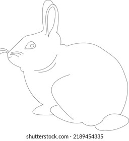 Outlined Rabbit in sitting position 