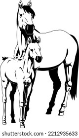 Outlined Realistic Cartoon Silhouette Mare And Foal Horse. Vector Hand Drawn Illustration Isolated On Transparent Background