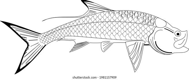 An Outlined Silhouette Of A Tarpon Fish