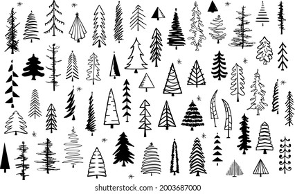 outlined and silhouette various  pine trees  set, isolated vector illustration graphic collection