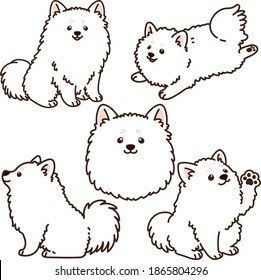 Outlined simple and adorable Japanese Spitz illustrations set