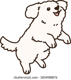 Dibujo de salto de perro blanco maltés simple y adorable