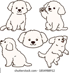 Outlined simple and adorable white Maltese dog illustrations