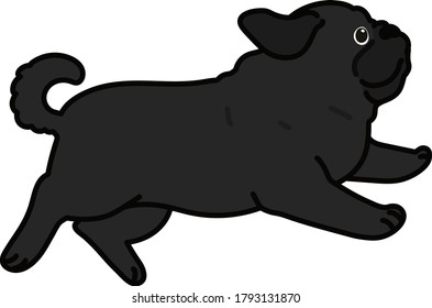 Outlined simple and cute black pug jumping