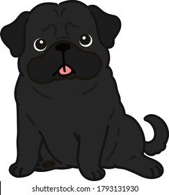 Outlined simple and cute black pug sitting in front view