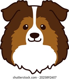 Cabecera delantera de Shetland Sheepdog