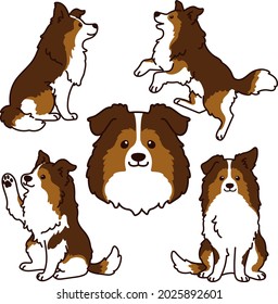 Ilustraciones simples de Shetland Sheepdog