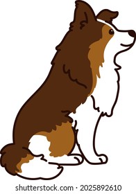 Sencillamente simple, Shetland Sheepdog sentado a la vista lateral