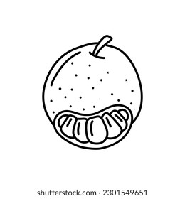 Die Sternfrucht, die Sternfruchtdoodles, die Vektorgrafik der Linie.