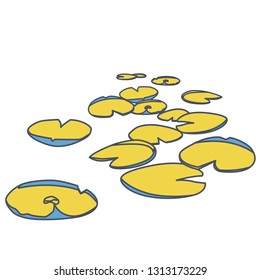 Outlined vector water lilies floating on water surface. Yellow low poly water lily. Water plants in different variant, isolated on white background. Isometric clumps growing on edge of pool and pond