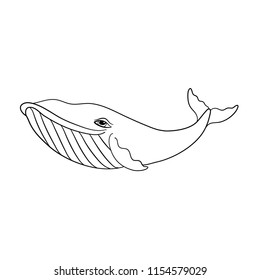 Outlined Whale, vector illustration isolated on white background, baby shower decor, coloring book