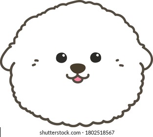 Outlined white Bichon Frise front face