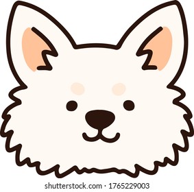 Outlined white Chihuahua front head